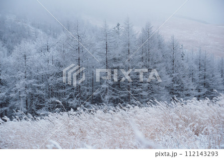 冬の霧ヶ峰 112143293