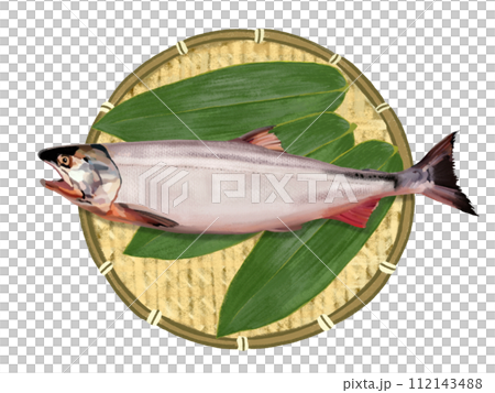 Salmon (1 fish) colander, with bamboo leaves 112143488