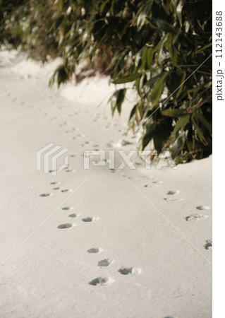 冬山の景色 112143688