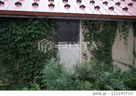 蔦に覆われた建物	 112143713