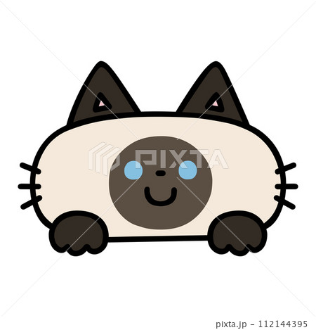 ひょっこり顔を出すかわいいシャム猫 112144395