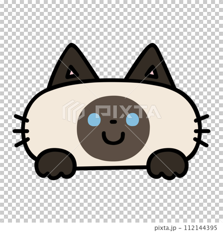 可愛的暹羅貓露出它的臉 112144395