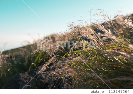 夏山の登山風景 夏山の登山風景 112145564