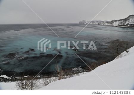 ニシンの群来 112145888