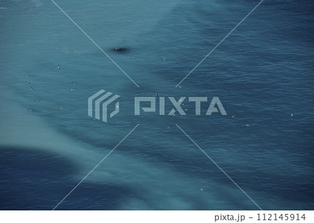 ニシンの群来 ニシンの群来 112145914