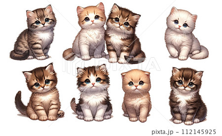 かわいい子猫たち 112145925