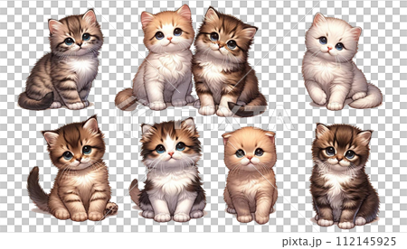 かわいい子猫たち 112145925