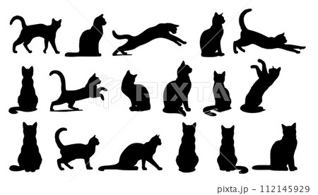 可愛い猫のシルエット 112145929