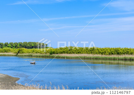 仙台　蒲生(がもう)干潟 112146797