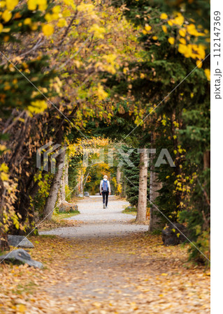 People walking in a tunnel of forest trees. Spur Line Trail in fall season. Canmore, Alberta, Canada. 112147369