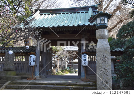 藤沢常立寺 梅の花が咲く頃 112147693