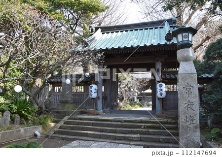 藤沢常立寺 梅の花が咲く頃 112147694
