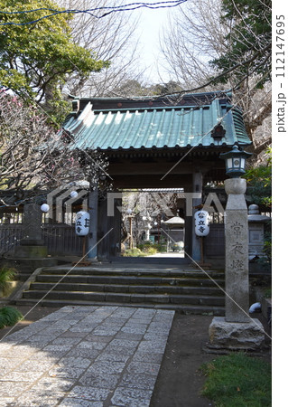 藤沢常立寺 梅の花が咲く頃 112147695