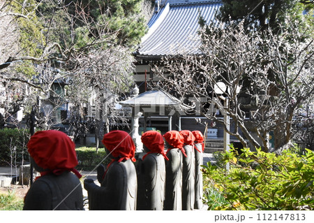 梅の花が咲く藤沢常立寺とお地蔵さん 112147813
