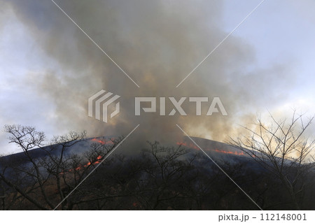 大室山の山焼き 大室山の山焼き 112148001