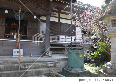 藤沢常立寺 梅の花が咲く頃 藤沢常立寺 梅の花が咲く頃 112148034