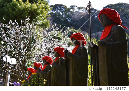 梅の花が咲く藤沢常立寺とお地蔵さん 112148177