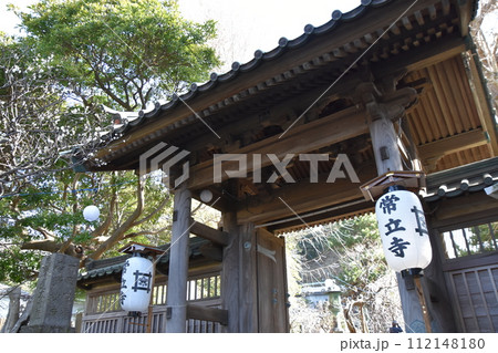藤沢常立寺 梅の花が咲く頃 112148180