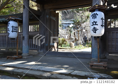 藤沢常立寺 梅の花が咲く頃 112148182