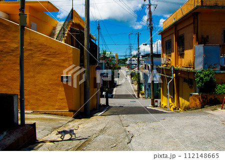 沖縄　金武町のノスタルジックな街並み 112148665