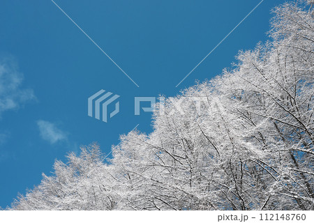 雪山と青空の風景 112148760