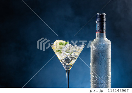 Vodka Cocktail glass and ice-cold bottle on blue degraded background with copy space. Vodka Cocktail glass and ice-cold bottle on blue degraded background with copy space. 112148967
