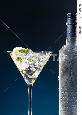 Vodka Cocktail in glass and ice-cold bottle close up on blue degraded background with copy space. Vertical format. Vodka Cocktail in glass and ice-cold bottle close up on blue degraded background with copy space. Vertical format. 112148970