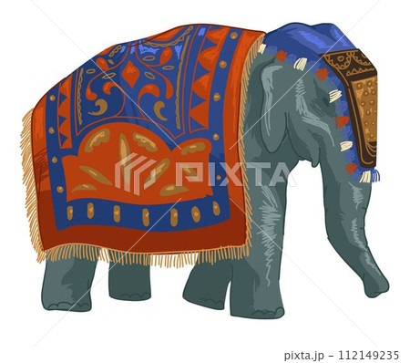 Indian elephant with decorative cloth, animal 112149235