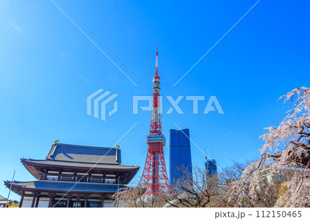 【東京の都市風景】増上寺の桜と東京タワー 112150465