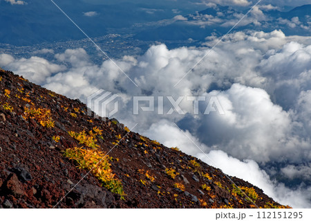 富士山・吉田登山道のオンタデの黄葉と富士吉田市街 112151295