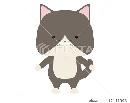 立っているハチワレ猫 112151398