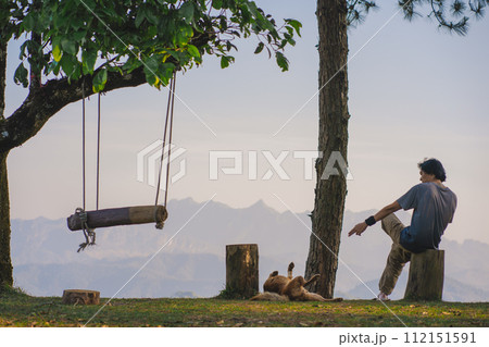 landscape and travel concept with solo freelancer man use tablet work and play with dog at wooden swing under large tree and layer of mountain 112151591