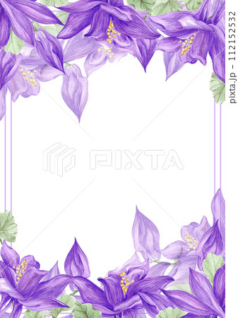 Hand drawn watercolor purple aquilegia flowers frame border isolated on white background. Can be used for cards, label, scrapbook and other printed products. 112152532