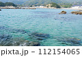 透き通る海 112154065