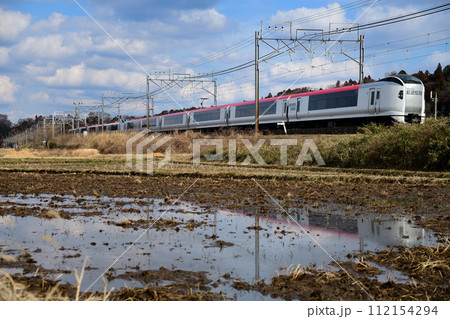 冬枯れの田んぼを行くE259系特急成田エクスプレス 冬枯れの田んぼを行くE259系特急成田エクスプレス 112154294