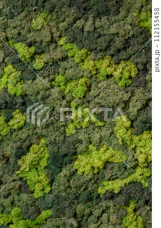 close up view of a canvas made of natural moss of different colors, high resolution close up view of a canvas made of natural moss of different colors, high resolution 112155458