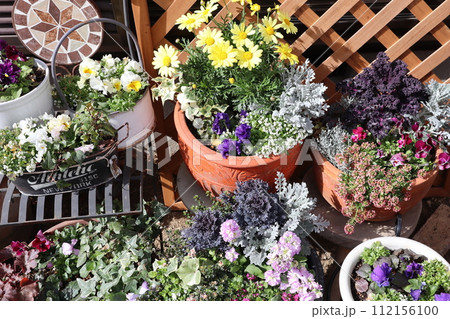 寄せ植えした鉢植えのフラワーアレンジメント 112156100