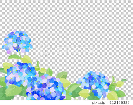 Hydrangea frame 112156323