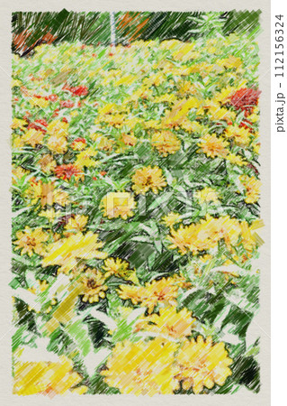花畑の背景 112156324