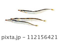 イカナゴの手描き水彩画 112156421