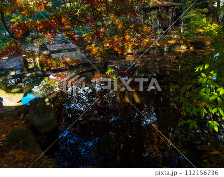 初秋の池のリフレクション 112156736