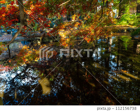 秋の日本庭園の池のリフレクション 112156738