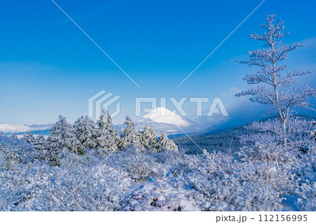 （静岡県）霧氷に覆われた十国峠　富士山眺望 112156995