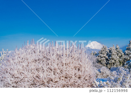 （静岡県）霧氷に覆われた十国峠　富士山眺望 112156998