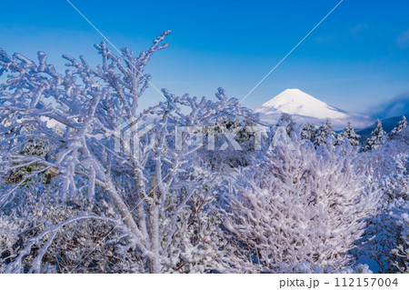 （静岡県）霧氷に覆われた十国峠　富士山眺望 112157004