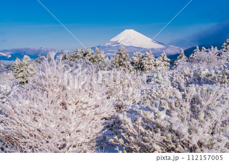 （静岡県）霧氷に覆われた十国峠　富士山眺望 112157005
