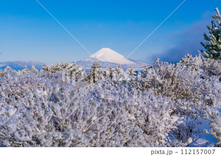 （静岡県）霧氷に覆われた十国峠　富士山眺望 112157007