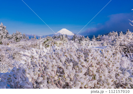 （静岡県）霧氷に覆われた十国峠　富士山眺望 112157010