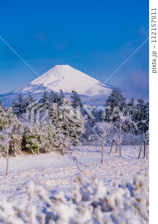 （静岡県）霧氷に覆われた十国峠　富士山眺望 112157011