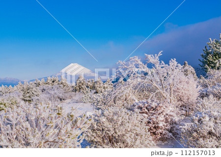 (静岡県)霧氷に覆われた十国峠 富士山眺望 (静岡県)霧氷に覆われた十国峠 富士山眺望 112157013